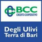Banca di Credito Cooperativo degli Ulivi - Terra di Bari - Società cooperativa