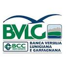 Banca Versilia Lunigiana e Garfagnana  - Credito Cooperativo - Società cooperativa